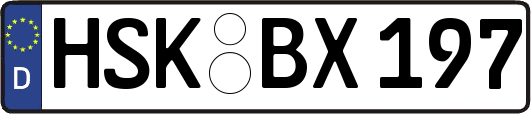 HSK-BX197