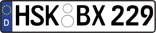 HSK-BX229