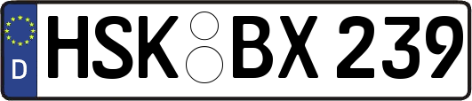 HSK-BX239