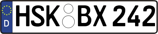 HSK-BX242