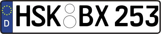 HSK-BX253