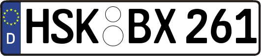 HSK-BX261