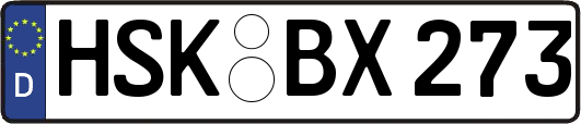 HSK-BX273