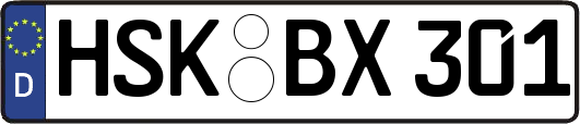 HSK-BX301
