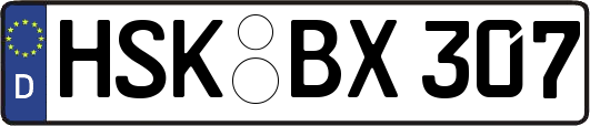 HSK-BX307