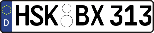 HSK-BX313