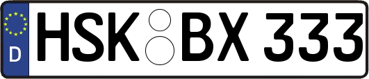 HSK-BX333