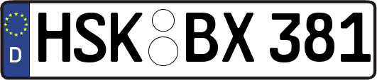 HSK-BX381