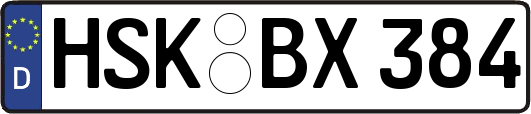 HSK-BX384