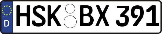 HSK-BX391