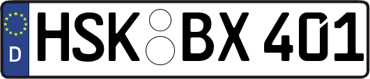 HSK-BX401