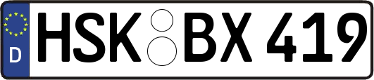 HSK-BX419