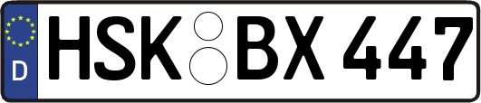 HSK-BX447