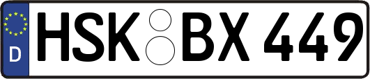 HSK-BX449