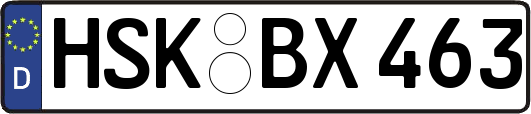 HSK-BX463