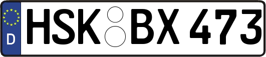 HSK-BX473