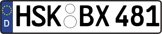 HSK-BX481