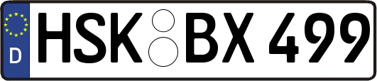 HSK-BX499