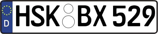 HSK-BX529