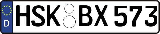 HSK-BX573