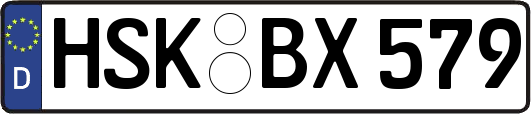 HSK-BX579