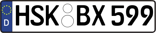 HSK-BX599