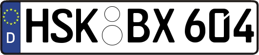 HSK-BX604