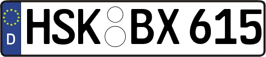 HSK-BX615