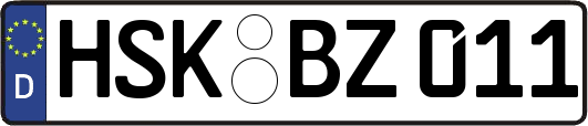 HSK-BZ011