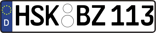 HSK-BZ113