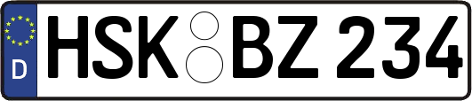 HSK-BZ234