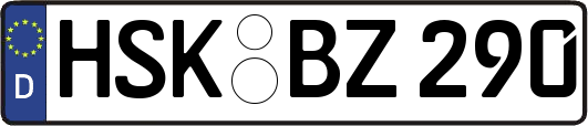 HSK-BZ290