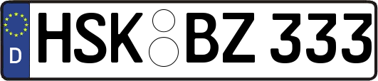 HSK-BZ333