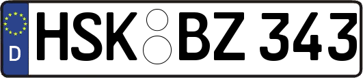 HSK-BZ343