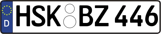 HSK-BZ446