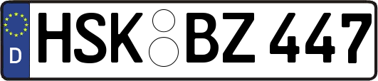 HSK-BZ447