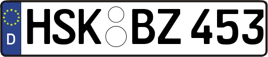 HSK-BZ453
