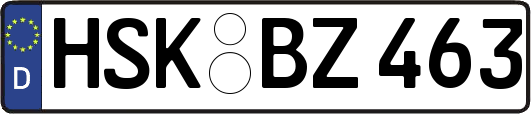 HSK-BZ463