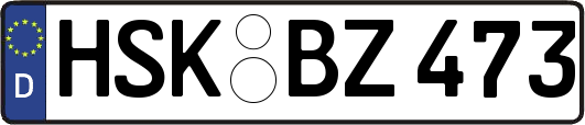 HSK-BZ473