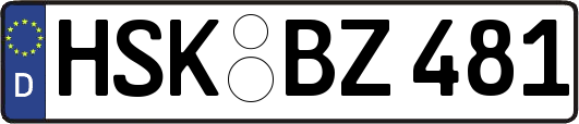 HSK-BZ481