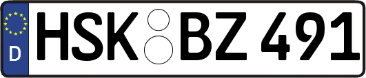 HSK-BZ491