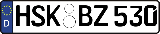 HSK-BZ530