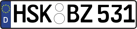 HSK-BZ531