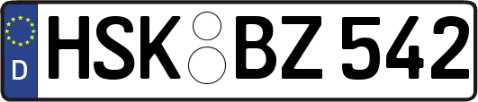 HSK-BZ542