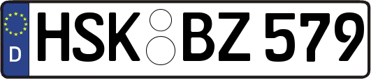 HSK-BZ579