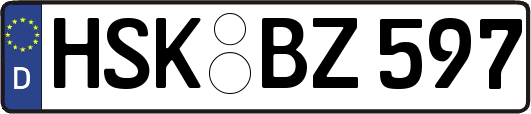 HSK-BZ597