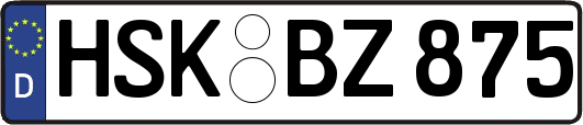 HSK-BZ875