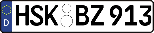 HSK-BZ913