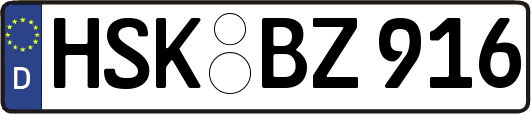 HSK-BZ916