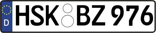 HSK-BZ976